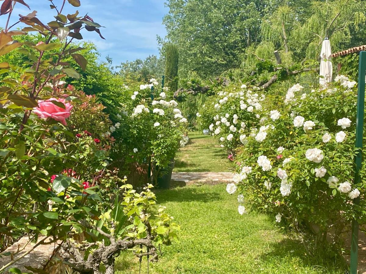 Villa Des Roses Roussillon en Isere Eksteriør bilde