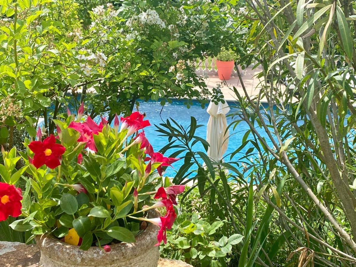 Villa Des Roses Roussillon en Isere Eksteriør bilde
